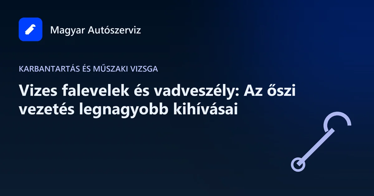 Vizes falevelek és vadveszély: Az őszi vezetés legnagyobb kihívásai - Karbantartás és műszaki vizsga